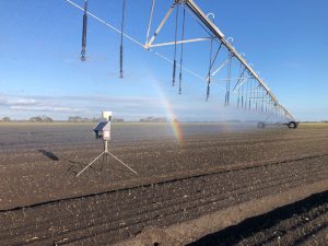 Soil Moisture and rain gauge installed in onions to measure soil moisture and pivot output